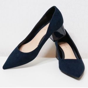 Zara Pointed Toe Kitten Heels